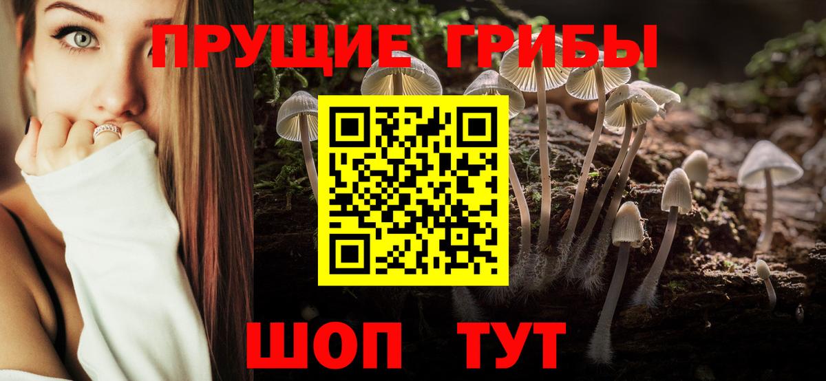 Галлюциногенные грибы MAGIC MUSHROOMS  Вход с VPN  Саратов  где продают   Псилоцибиновые грибы Psilocybine cubensis 
